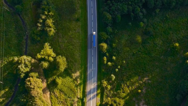 Car goes in the forest