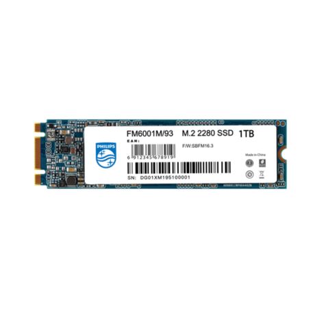 FM60SS100M/93  SSD
