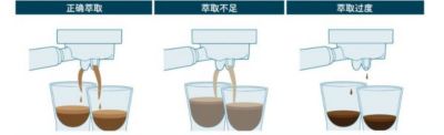 extraction