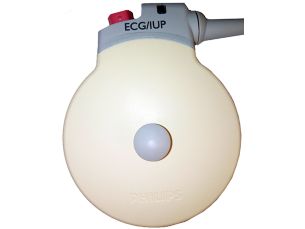 Avalon ECG/IUP Transdutor