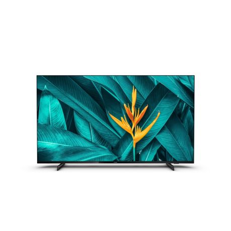 55HFL5214U/97  Professional TV