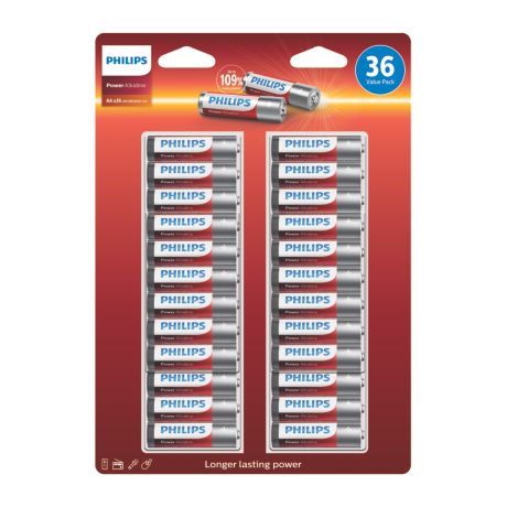 LR6P36B/10 Power Alkaline Battery