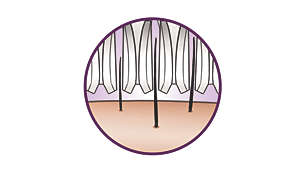 Hypo allergenic textured ceramic discs gently remove hairs