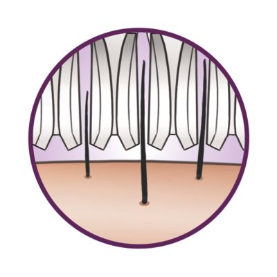 Hypo allergenic textured ceramic discs gently remove hairs