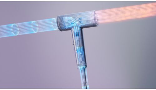 Potencia el brillo y reduce el encrespado