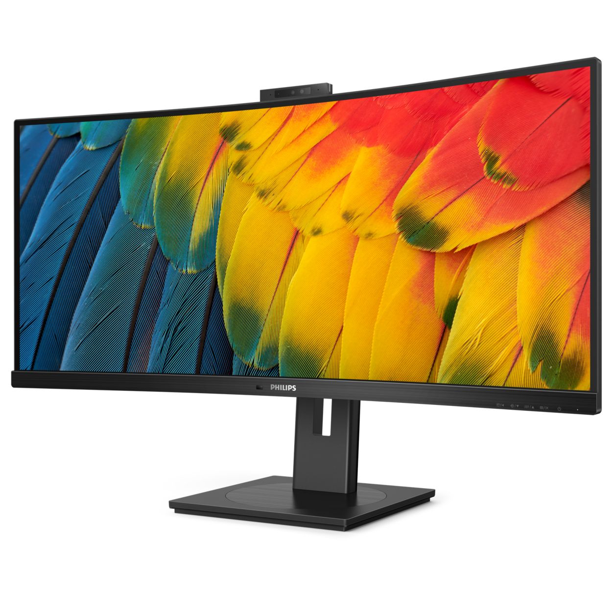 PHILIPS 23.8インチ QHD モニター 5000シリーズ PHILIPS 23.8インチ QHD モニター 5000シリーズ Philips、WQHD