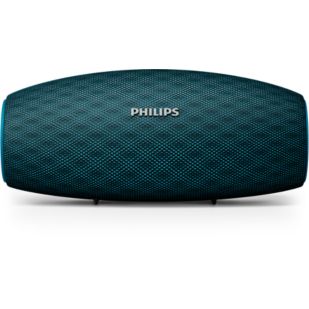 BT6900A wireless portable speaker
