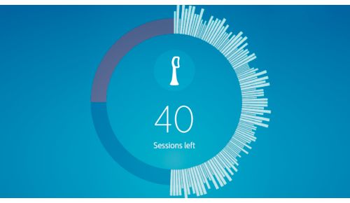 Vær altid klar over børstehovedets effektivitet