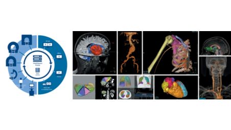 Multiple clinical domains, one standard for diagnosis