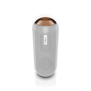 draadloze draagbare luidspreker