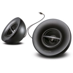 Portable Speaker System