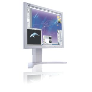 Brilliance 190P7EG LCD monitor