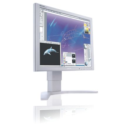 190P7EG/10  Brilliance 190P7EG LCD monitor