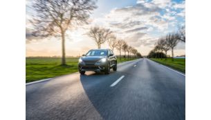 Up to 450 hours' use from a high-performance bulb&sup3;