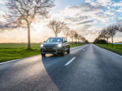 Žarulja visokih performansi s do 450 sati uporabe³