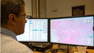 Suíte de Aplicações IntelliSite Pathologist 