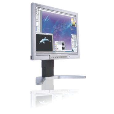 Brilliance Monitor LCD