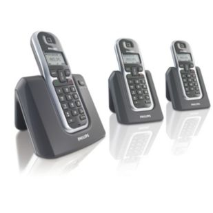 Cordless telephone