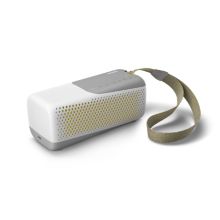 Wireless speaker