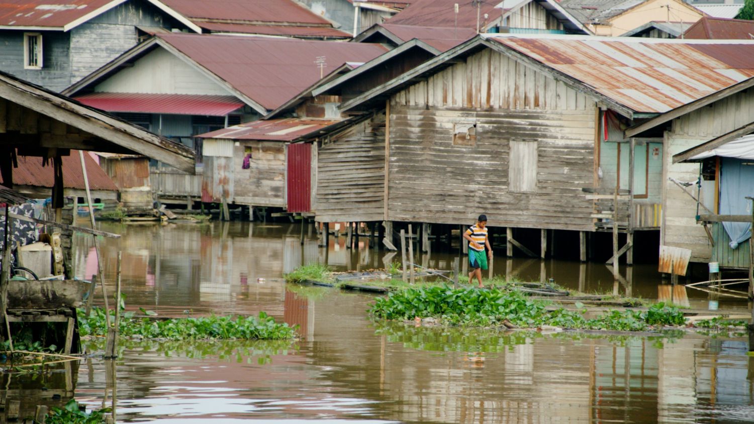 Enhancing access to healthcare in remote regions, with BlueSeal technology
