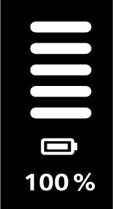 battery level 100
