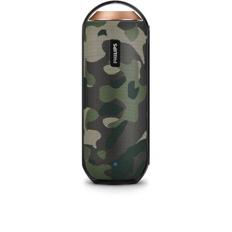 BT6000C/10  wireless portable speaker