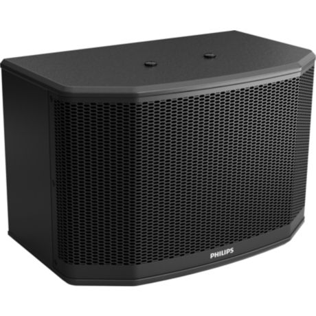 CSS1641/93  卡拉 OK 扬声器