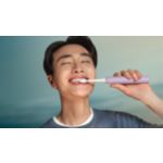 Essential Care for healthy teeth and gums