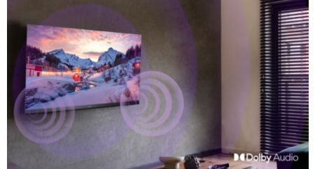 Dolby Audio pour un téléviseur au son plus riche et plus clair.