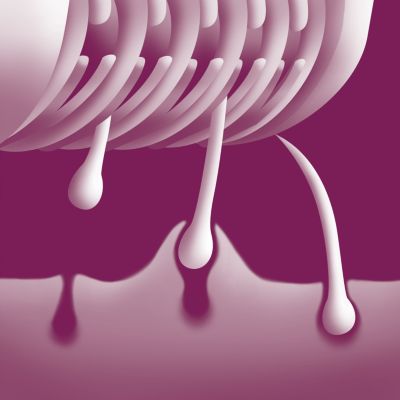 Les disques retirent délicatement les poils sans tirer sur la peau