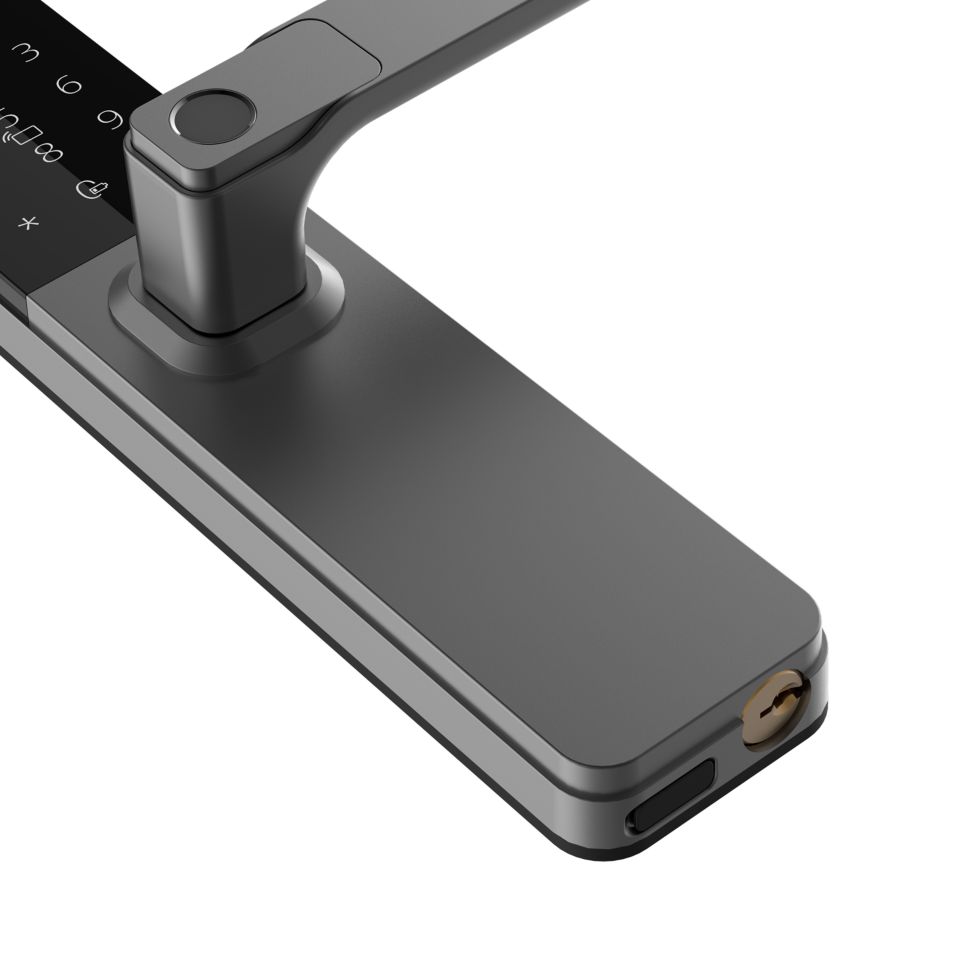 6000 series Narrow body lever-style smart lock DDL615LIPKB/00