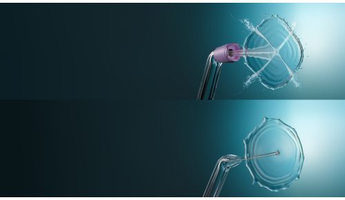 Tailored cleaning with 2 flosser tips