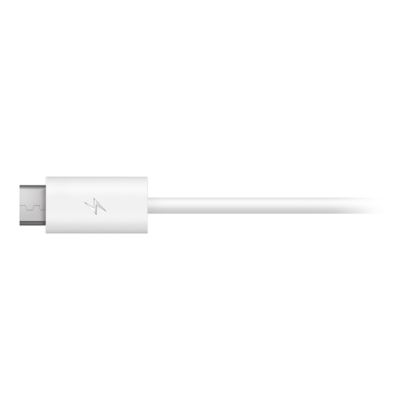 Designed for sports and music