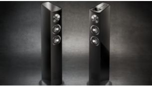 Floor standing speakers for ideal music reproduction