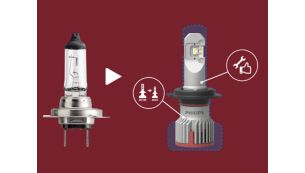 Conception ultra-compacte pour une large compatibilité