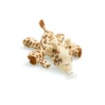 Baby’s first friend