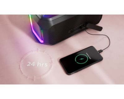 Austauschbarer Akku, Powerbank