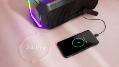 Replaceable, rechargeable battery pack. Power bank