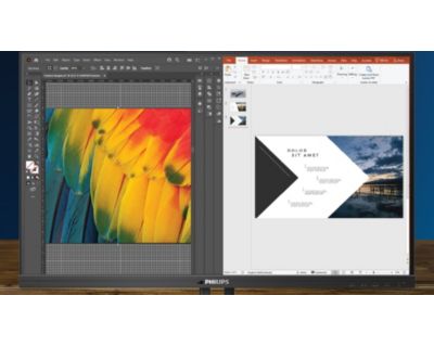 MultiView technology
