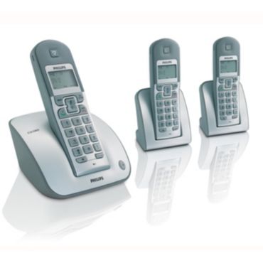Cordless telephone