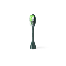 BH1021/08 Philips One by Sonicare Brush head
