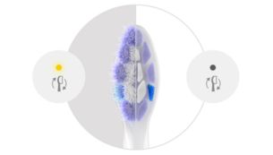 Keep brushing your best with brush head replacement reminder