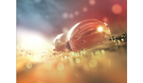 Wyjątkowa pielęgnacja włosów