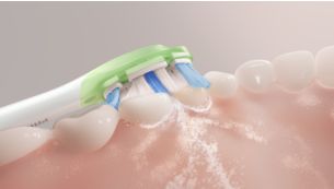 Sonicare Fluid Action