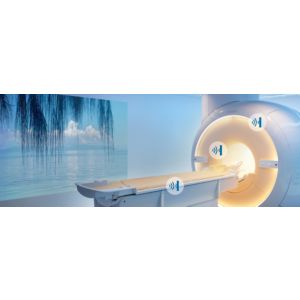 Enlarged view of picture