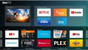 NetTV with Wireless access to online services on your TV