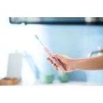 Everything you need for great oral health