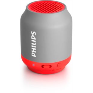 BT25G wireless portable speaker