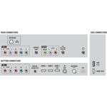 Desempenho vibrante e vivo