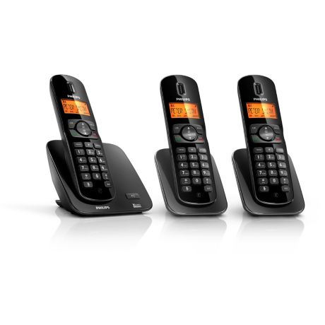 CD1703B/05 Perfect sound Cordless phone
